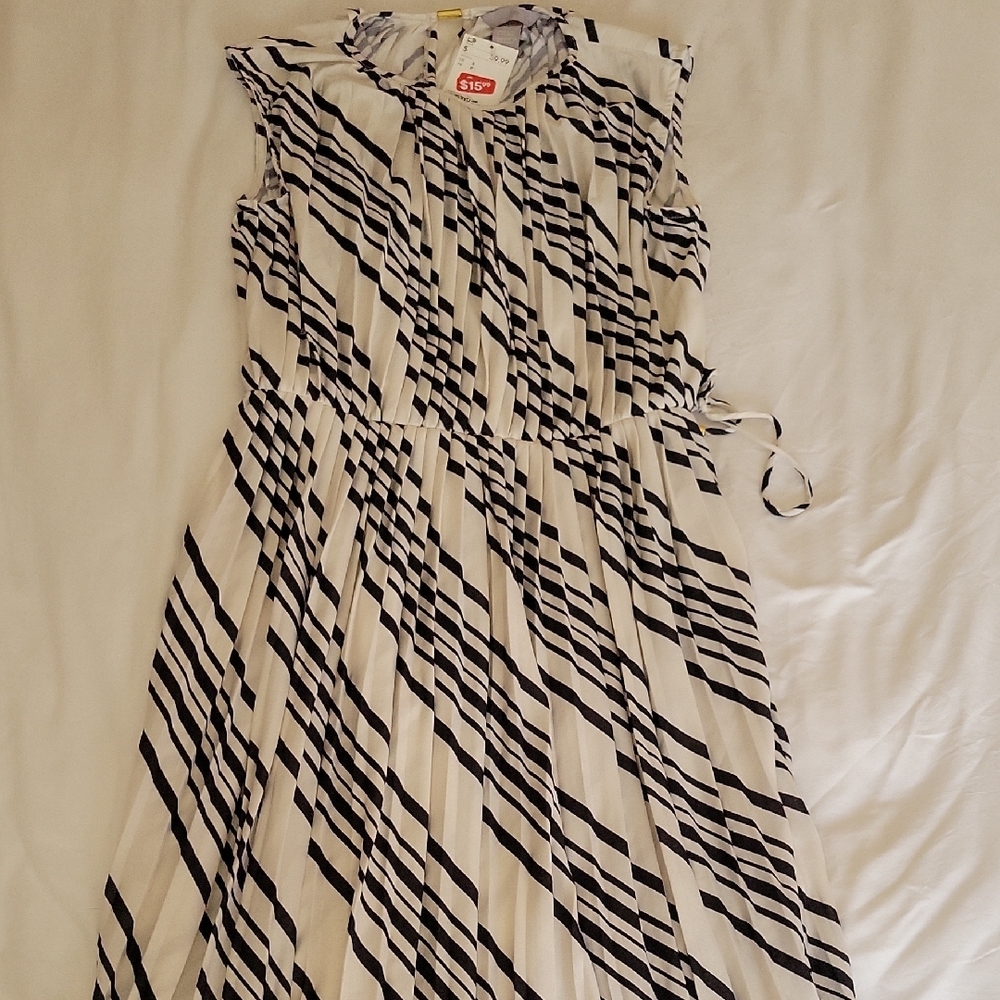 Striped Black and White Dress